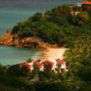 Coconut beach club st john s 270120111933229987 sq128