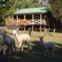 Madison s mountain retreat kurrajong heights sydney 270120110221179652 sq128