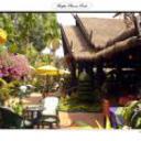 Bopha angkor siem reap 050920110239302951 sq128