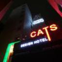 Cats hotel seoul 120520110422224344 sq128