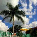 0 1200x900 sq128