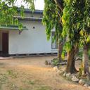 38545618 sq128