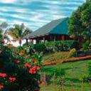Palmlea lodge bures labasa 310120102213271052 sq128