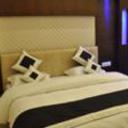 Hotel delhi heart dx new delhi 191220110959010556 sq128