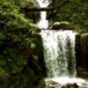 Nalesutale lodges nadi 160320121005534784 sq128