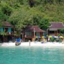 Phi phi popular beach koh phi phi 070320111555345506 sq128