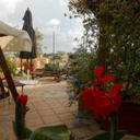 21665813 sq128