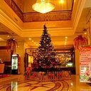 Interior 635350285977440991 sq128