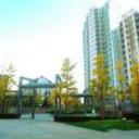 Rich young seasons park service apartment beijing 110320120408444611 sq128