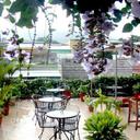Las colinas arenal hotel la fortuna 090220112145157993 sq128