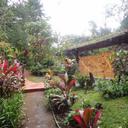 37268268 sq128