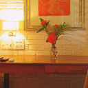 Trancoso monkey house trancoso 405009 1000 560 sq128