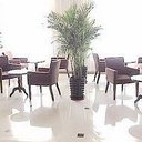 Gastronomy 635490960533072816 sq128