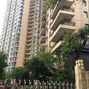 51548897 sq128