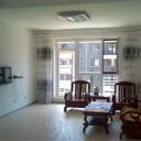 51632934 sq128