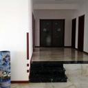 51751449 sq128