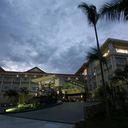 Phas44 1 sq128