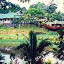 Sepilok jungle resort sandakan 030920090918414782 sq128