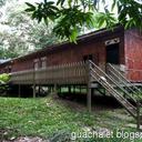 Gua longhouse chalet miri 281020101137218675 sq128