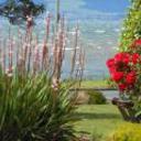 Jack di s waiteti lakefront motel rotorua 101120110348107843 sq128