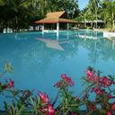 Alona palm beach bohol 310120110857281704 sq128
