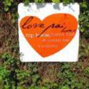 Love pai home pai 070920110711289788 sq128