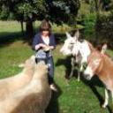 Mokoia downs estate bb rotorua 171020130802260689 sq128