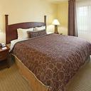 2631759 staybridge suites fayettevilleuniv of arkansas guest room 5 def original sq128