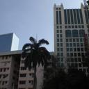 20518324 sq128