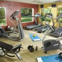 69481597 doubletree guest suites resort lake buena vista fitness center 1 def original sq128