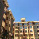 65394658 sq128