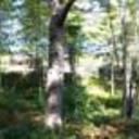 56466803 sq128