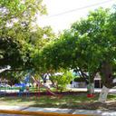 57798710 sq128
