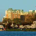 Mandarin oriental dc hotel sq128