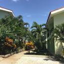 56862980 sq128