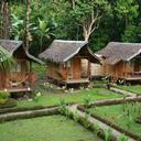 Nipa hut bohol 300520110550010842 sq128