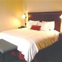 Tlsfhx hotel sq128