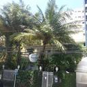 71524817 sq128