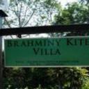 Brahminy kite holiday home kota kinabalu 240820120656181943 sq128