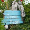 Ocean pearl bonefishing resort grand bahama 210520120603112158 sq128