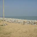 Resort pcb kota bharu 210920120727252959 sq128