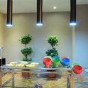Gastronomy 635725335394089830 sq128