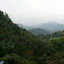 70594796 sq128