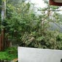40268850 sq128