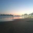 97445450 sq128