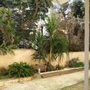 98282480 sq128