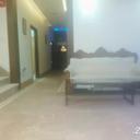 87787070 sq128