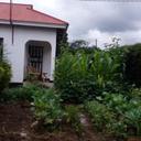 101891577 sq128