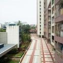79905511 sq128