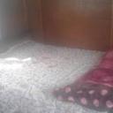 104150356 sq128